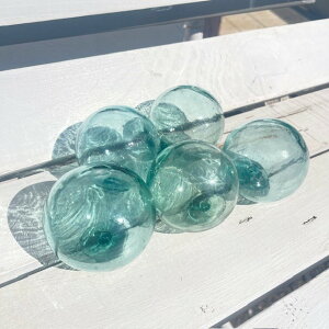 r   g KXʖ5.5`6.5cm5Zbga ͋̕CfeeltheseaCG݃}CeA_J̐ɂVbṽfBXvCtB[UV