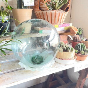 u[ rʁAArʁArA^ g KXʁA35cm 1AMta̕feelthesea CG݁A}CeAAK[fAVbṽfB