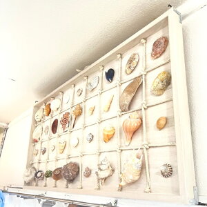 LkW{IuWFTCYAL͂Ȃ36ޕ965mmfeeltheseaCIuWF썑CG݁A}G݁AAJtFX܂̃C[WAbvɃtB[UV[ߕi1