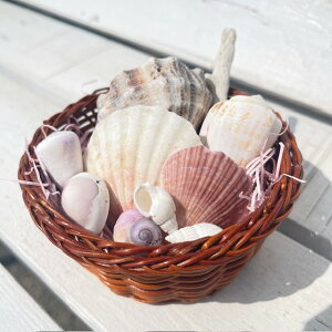 �V�R �V�F���A�N�����A�L�k�A�T���S�A�l�ߍ��킹�L�k7���+�T���S�Z�b�g�J�S�t��feelthesea�C��������u���썑�e�C�X�g�C�G�݁A�}�����G�݁A�ċx�݂̏h���DIY�̑f�ނƂ��āA�������A�X�܂�