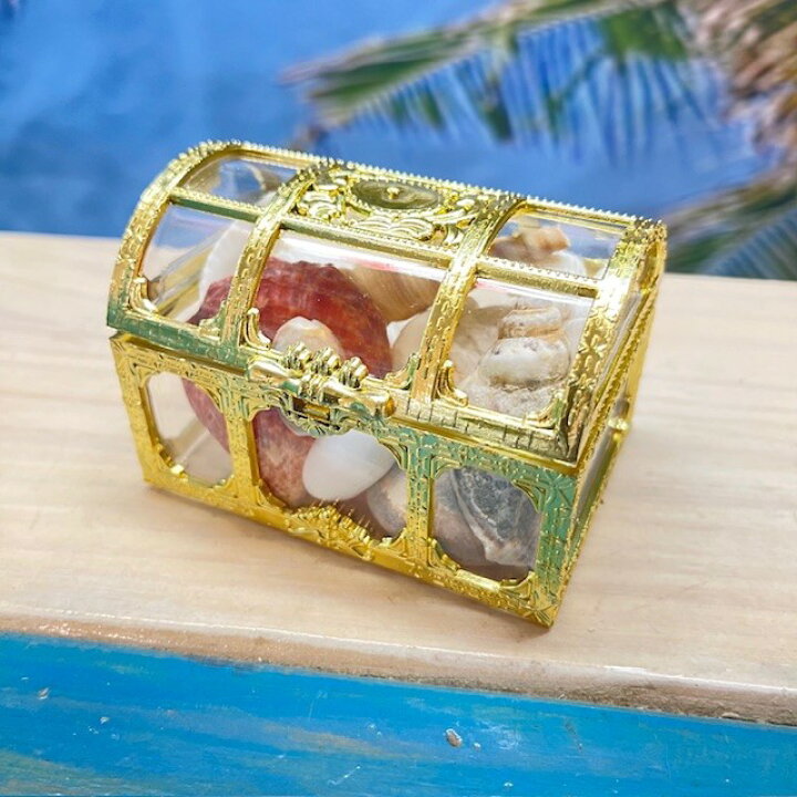 楽天市場】小さな貝の宝箱「ゴールド」、天然 シェル、クラム、貝殻 