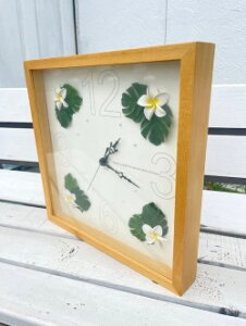 Xe̎vAnCANbNؐA32cm32cms5cmǊ|AuĂf܂AVbṽfBXvC̃CeAƓރEbhJ[AfeeltheseatB[