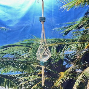 KX nMO |bgAzCg95mm̃|bgS60cmAAT{eAGAvc ȂǂɍœKÃfBXvCtYCGfeeltheseaAtB[U