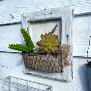 AeB[Nt[x[XgAVr[ؐA29cm24cms8cmǊ|AuVbṽfBXvCnhChfeeltheseatB[UV[AtYAK[