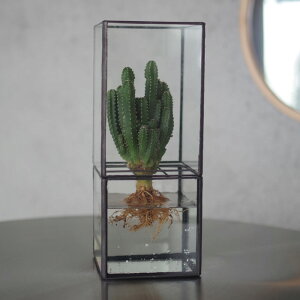 eE A k͔| T{e O[CeA A KXP[X ̌ϗtA fBXvC   ChAO[