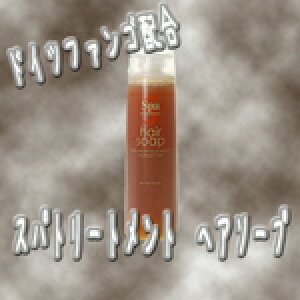 �X�p �g���[�g�����g �w�A�\�[�v 250ml�y�D�p�b�N�z�yGB1342_mother�z�y�v���p���e�����X �g���[�g�����g �N���X�}�X �v���[���g�p �v�`�M�t�g�p ���蕨 �M�t�g�p �a���� �z