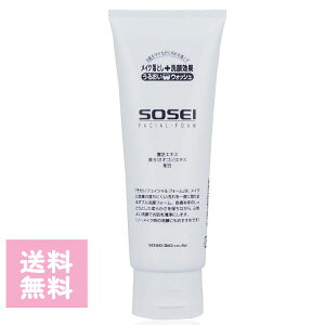 \ZCtFCVtH[ 120g  tH[ NWO SOSEI vpeX