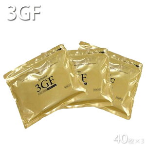 yԌ20%OFFzAX^[i 3GFtFCX}XN v~A120 40×3 EGF FGF IGF tFCXpbN e ێ R[Q GX` GXep Tp vpeX