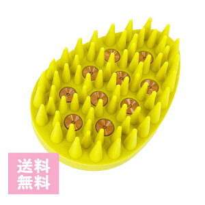 Ki G-ZERO COIL W[[RC }CNJg CIuV MICROCURRENT ION BRUSH I[u CG[ wAuV wAPA Ƃ  T e