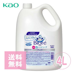 yP10{zԉ rIU Anh\[v 4L Anh\[v ԉ rIU Anh\[v }ChVgX̍ Ɩp tH[ 􂢐Ό e lߑւp HX Tp