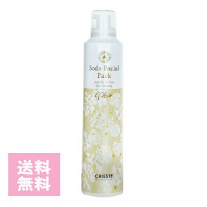 NVG NGXe Y_tFCVpbN240g XLPA PA    ێ  Ƃ g[Abv ȒP T Mtg v[g