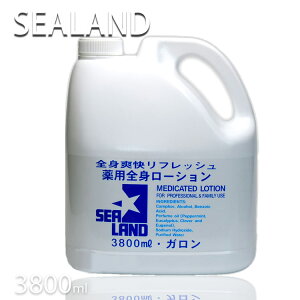 V[h p[V 3800ml K n[uoX SEA LAND vpeX Ɩp e e U o[o[Vbv