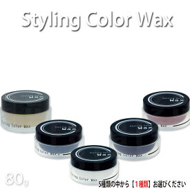 スタイリング カラーワックス 80g ビナ薬粧 styling color wax プラチナシルバー メイプルレッド ゴールデンイエロー アッシュブルー モカブラウン スタイリング剤 プロ用美容室専門店 プレゼント 用 プチギフト 用 ギフト用 ハロウィン ハロウィーン