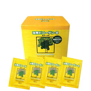 リアル 浴用ビコーゲン BN 20g×20包入り 入浴剤 お風呂 米ぬかエキス 柑橘系の香り 冷え性改善 リラックスタイム KIK プロ用美容室専門店 つや髪美肌研究SHOP