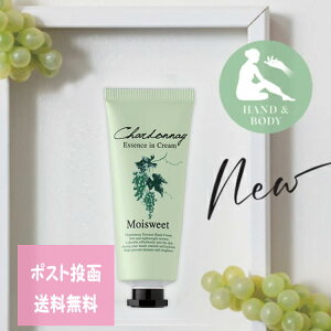 |Xg`O CXEB[g GbZXC N[ Vhl̍ 40g Pi nhN[