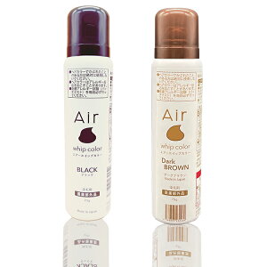 エアーホイップカラー 白髪染め 白髪隠し ブラック ダークブラウン 低刺激 ダメージ軽減 自然 サロン用 美容院 美容室 理容室 プロ用美容室専門店 プレゼント用 プチギフト用