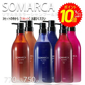 【エントリーでポイント10倍】ホーユー ソマルカ 業務用 ペアセット カラーシャンプー 770ml＋カラーチャージ750g セット 色選択 オレンジorアッシュorピンク hoyu professional ホーユープロフェッショナル プロ用美容室専門店