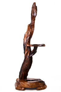 v I ֎dlFC / ޗFviI  R Nցj