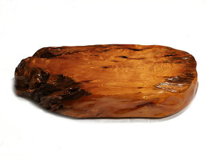 y62cmzv ԑE~ dlFC / fށFvi̊,ؐ,,N,ؖځj