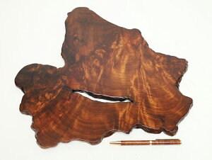 y36cmzv ԑE~ dlFC / fށFvi̊,ؐ,,N,ؖځj