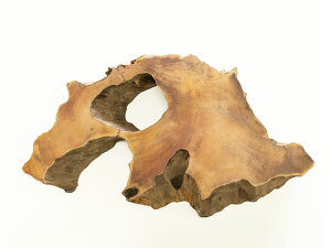 y44cmzԑE~ dlFC / fށFvi ؖ N ؐ ̊ԁj