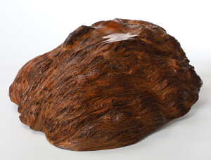 y10cmzv A dlFC / fށFvA~