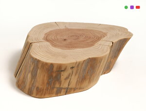 JCdJ ꖇ ~ dlFC / fށFLˈɐiÂԂ N ؖ  Vj~