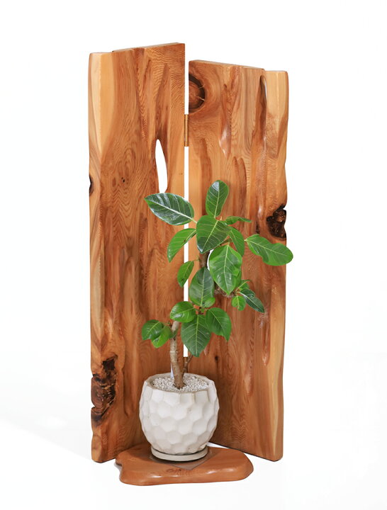 K▽屋久杉工芸 川東商店 銘木 屋久杉 光らせる 衝立 杢目 総無垢 ( 