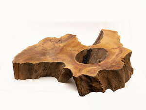 y40cmzԑE~ dlFC / fށFvi ؖ N ؐ ̊ԁj