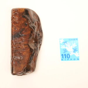 Aᎍށ@A@ dlFC / fށFvi I[igEL[z_[fށEj