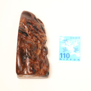 Aᎍށ@K@ dlFC / fށFvi I[igEL[z_[fށEj