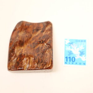 Aᎍށ@E@ dlFC / fށFvi I[igEL[z_[fށEj