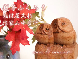 y10cmzv@ؒ@ӂ낤@꓁ / fށFv