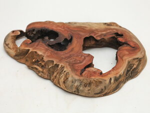 y29cmzԑE~ dlFC / fށFOi ؖ N ؐ ̊ԁj