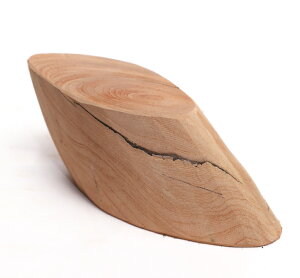 y25cmzԑE~ dlFC / fށFOi ؖ N ؐ ̊ԁj