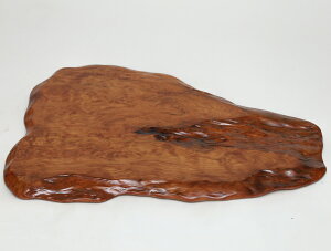 y45cmzv ԑE~ dlFC / fށFvᎁi̊,ؐ,,N,ؖځj