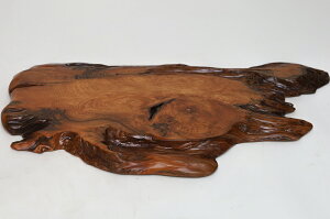 y45cmzv ԑE~ dlFC / fށFvᎁi̊,ؐ,,N,ؖځj