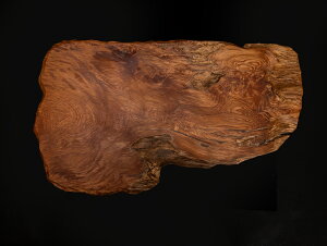 v ԑE~ dlFC / fށFvᎁih R ؐ  ̊ ؖ Nցj