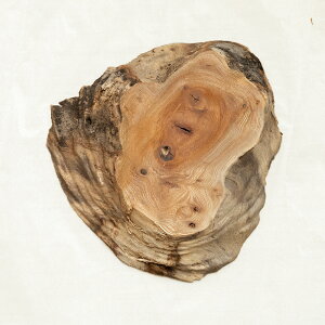 y22cmzԑE~ dlFC / fށFOi ؖ N ؐ ̊ԁj