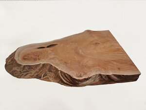 y39cmzԑE~ dlFC / fށFOi ؖ N ؐ ̊ԁj