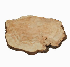 y21cmzɔ v ~ R[X^[ dlFC / fށFvᎁi~,ؐ,,N,ؖځj