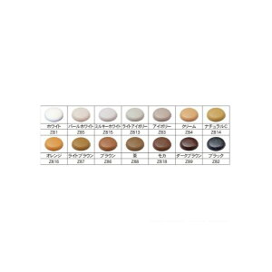 �_���h���r�X Z �L���b�v �u���b�N C-ZCX082-BP 20��