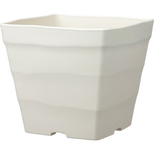 AbvEFA[ NtgXNGA 30^ zCg 1