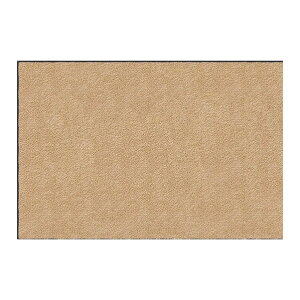 �N���[���e�b�N�X�E�W���p�� �X�^���_�[�h�}�b�gS 120x90cm AM00070 1��