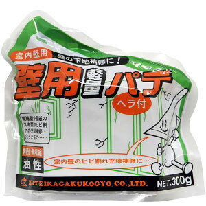ƒ뉻wH Ǘpyʃpe 300g zCg 4885300 1_