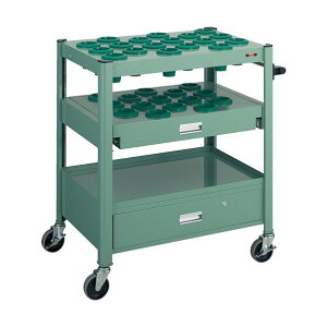 gXR TCW^c[OS #50X33 XChIot  TCW-T502DC GN(NJ[)