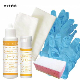 和気産業 お風呂用コーティング剤 CTG004 1セット