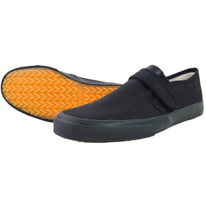 iS nCp[V1100 v p 24.5  1100 1