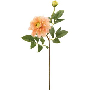 生花 ダリアの人気商品 通販 価格比較 価格 Com 生花 ダリアの人気商品 通販 価格比較 価格 Com