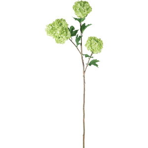 �|�s�[ �W�����{�X�m�[�{�[�� FA -7313GR 1�{